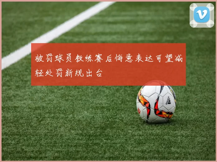 被罚球员教练赛后悔意表达可望减轻处罚新规出台